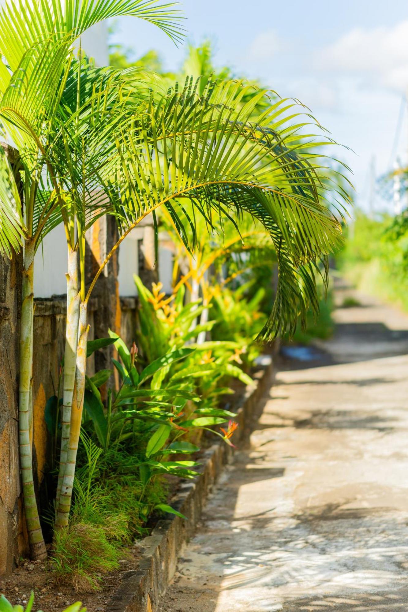 Palm Biche Residence Trou aux Biches Eksteriør billede